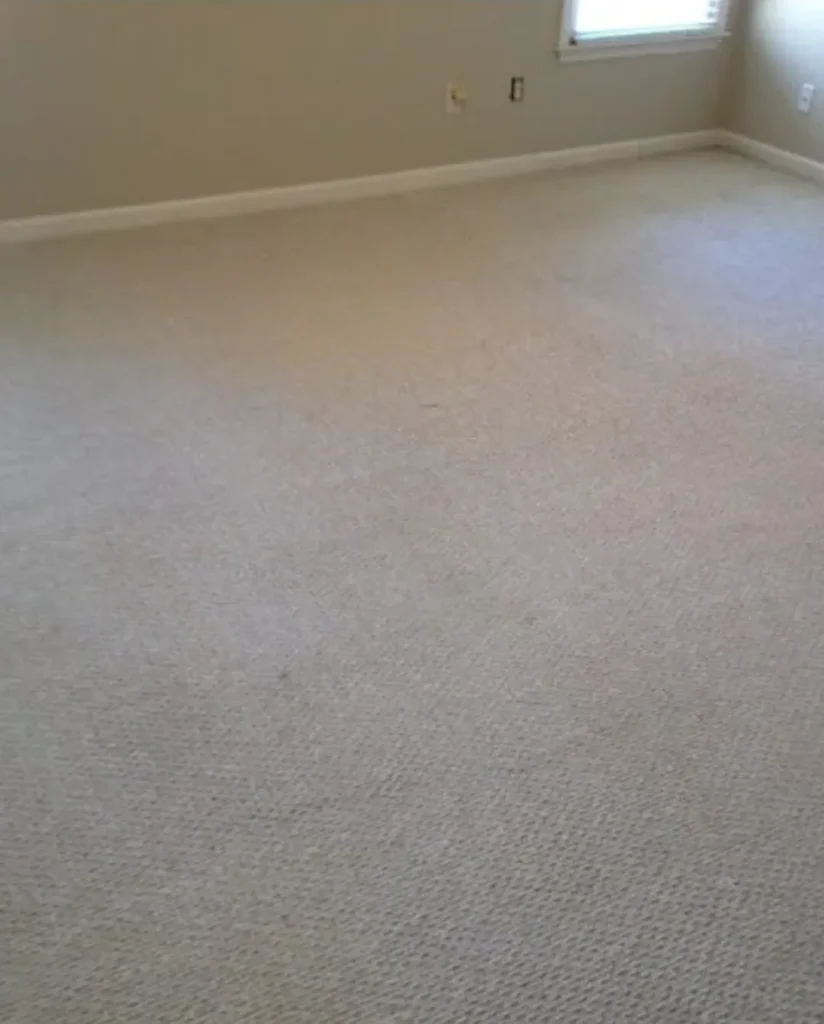 Carpet lying flat after a power re-stretch in a Port Credit home